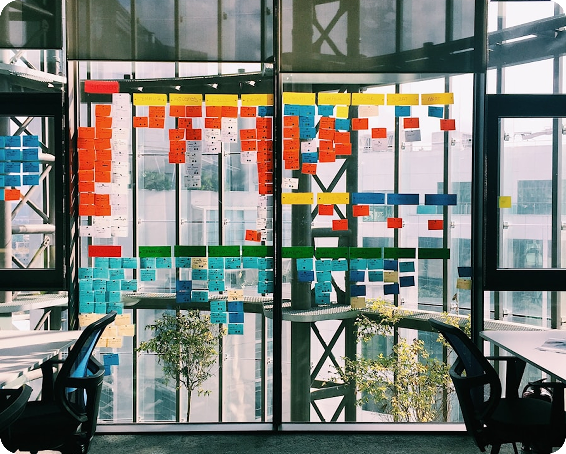 Paso 4 del proceso - Revisión