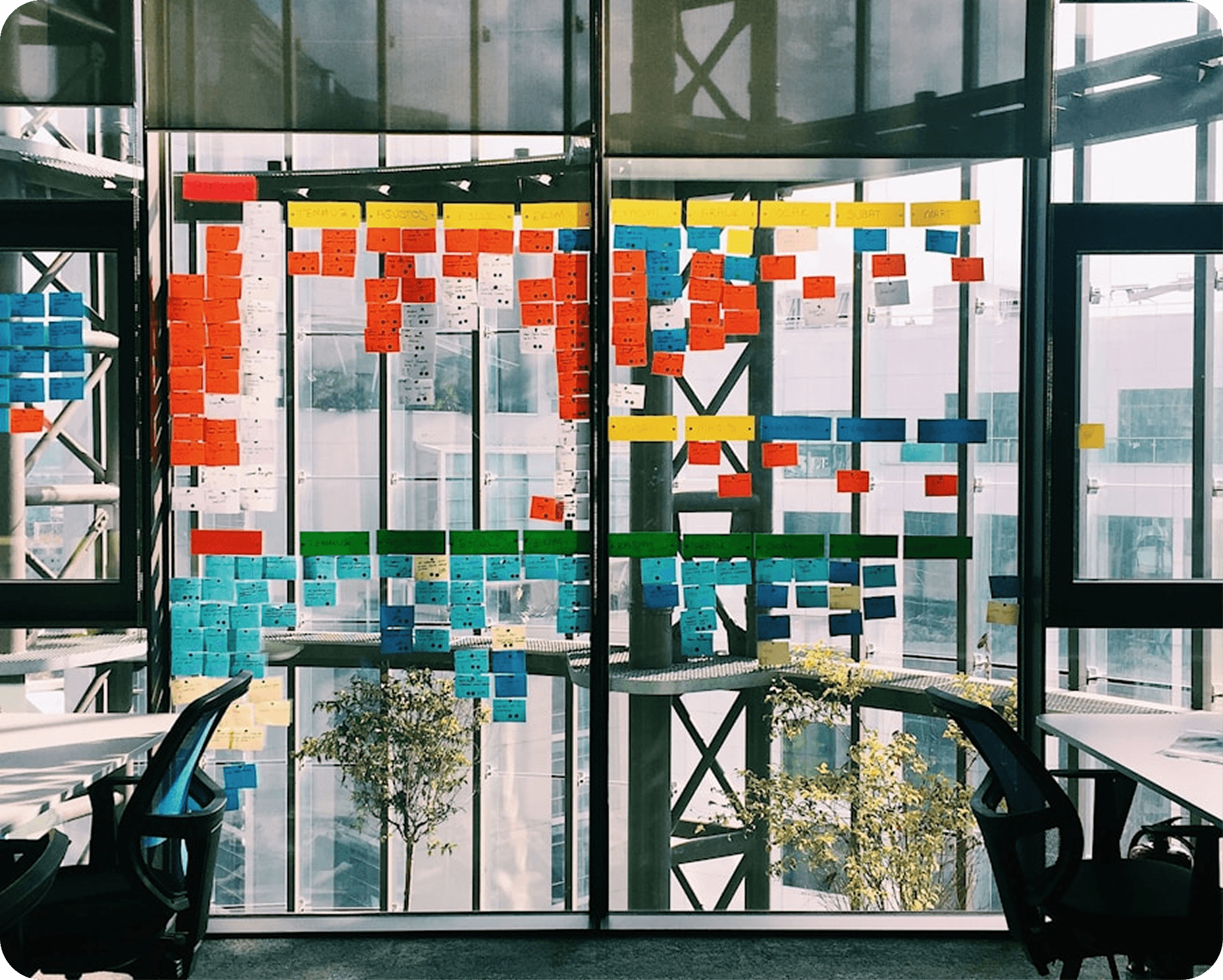 Paso 4 del proceso - Revisión